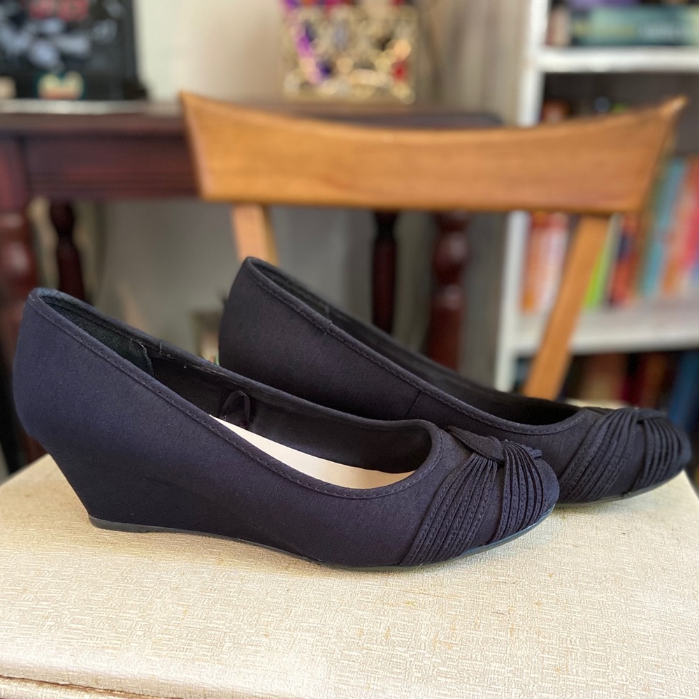 Seychelles Coconut wedge
